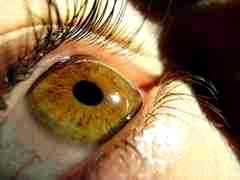 Как применять альбуцид для глаз
