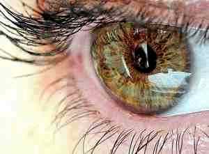 Альбуцид показания к применению капли глазные капли