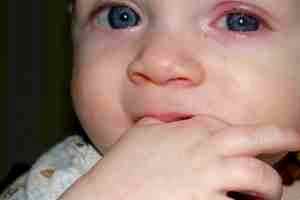 Сколько дней альбуцид детям в глаза