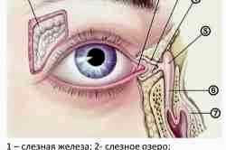 Альбуцид для глаз ребенку 1 год