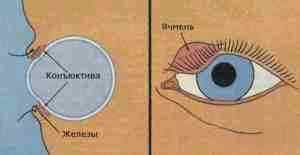 Альбуцид глазные капли от ячменя отзывы