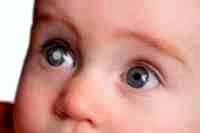 Глазные капли альбуцид как выглядят