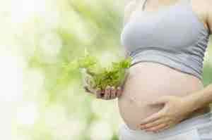Можно ли альбуцид в нос при беременности