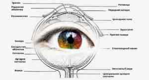 Альбуцид глазные капли в глаза детям