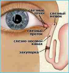 Как закапывать альбуцид в глаза ребенку